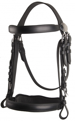 bridle_shire_without_blinkers