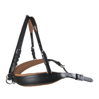 eurotech-combi-borst-510x510