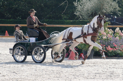 leathertech_harness_chestnut_1320762055