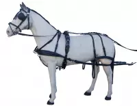 eurotech-combi_harness_black